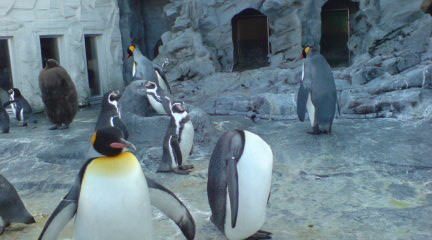 20071109143416.jpg