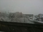 snow1.jpg