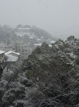 snow11.jpg