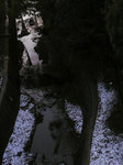 stream.jpg
